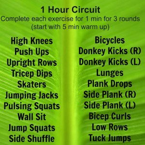 1 hour circuit