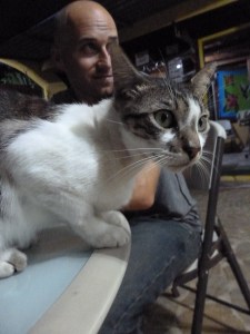 The resident cat. Of course we make furry friends wherever we go!