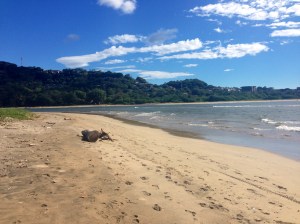 The view from the Grande side of the estuary