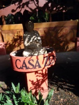 This pretty much sums up the mood of Casa Zen