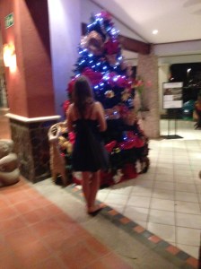 Enjoying a Christmas Tree in Tamarindo
