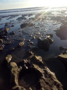One of the many tidal pools I've explored