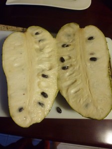 The infamous Guanabana