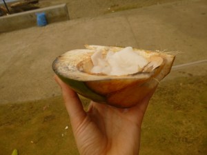 Perfect afternoon snack!