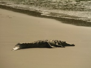 Working on his tan lines
