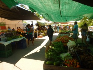 The farmer's market in Quepos