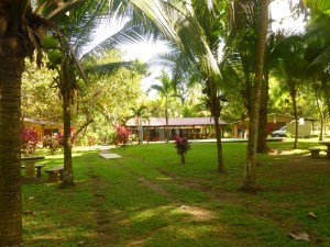 A view from the beach