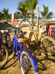 Our bike's Dolly, and Ralph. They're in love.