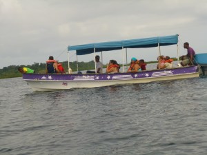 One of the many boats crowding the dolphins