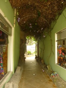 More like entering a zoo then a hostel!