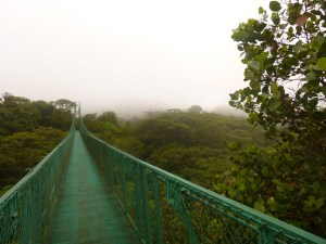 Literally walking through the clouds